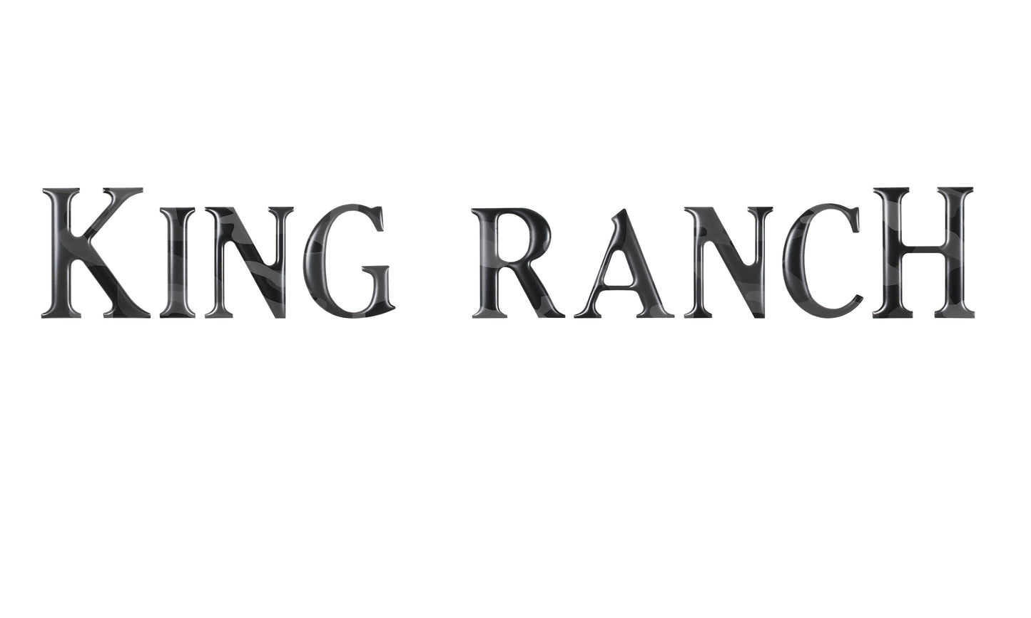 Tailgate Letter Inserts Fits 2018-2020 Ford F-150 King Ranch