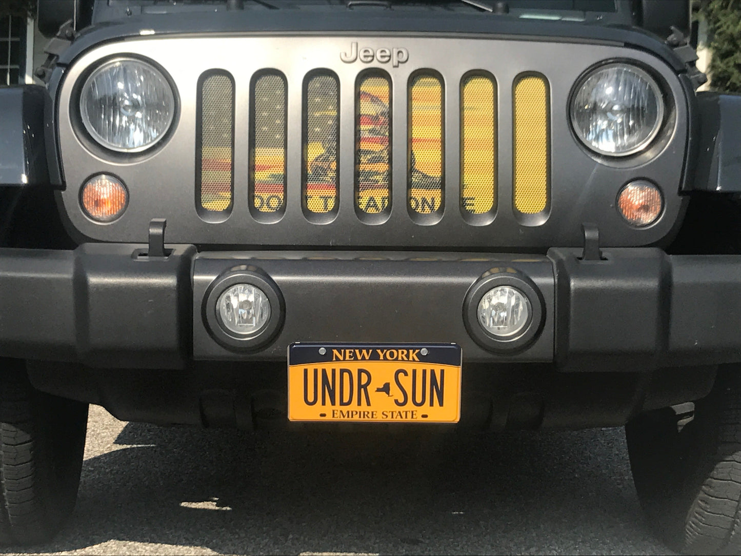 Don’t Tread On Me Collection Grille Inserts