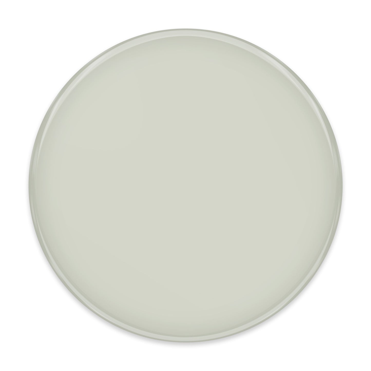 Ford (2x2 Color Samples)