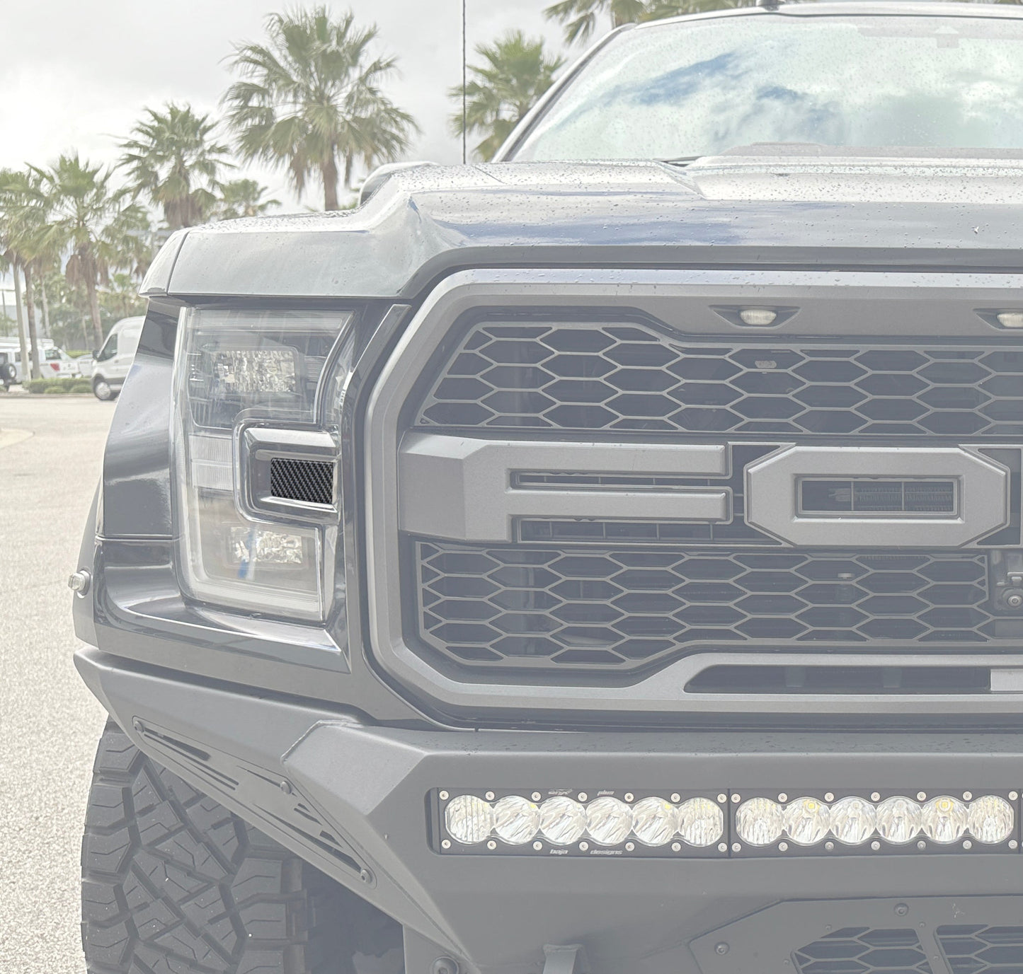 Side Headlight Molding Inserts Fits 2015-2020 Ford Raptor
