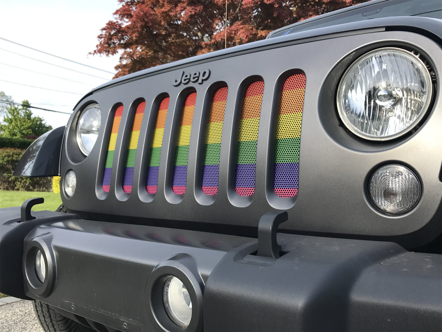 Show Your Pride