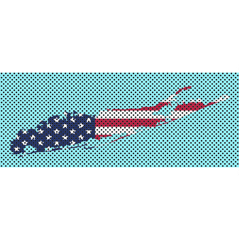 Long Island OldGlory