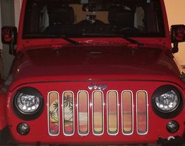 Endless Summer Collection - Palm Tree Grille Inserts
