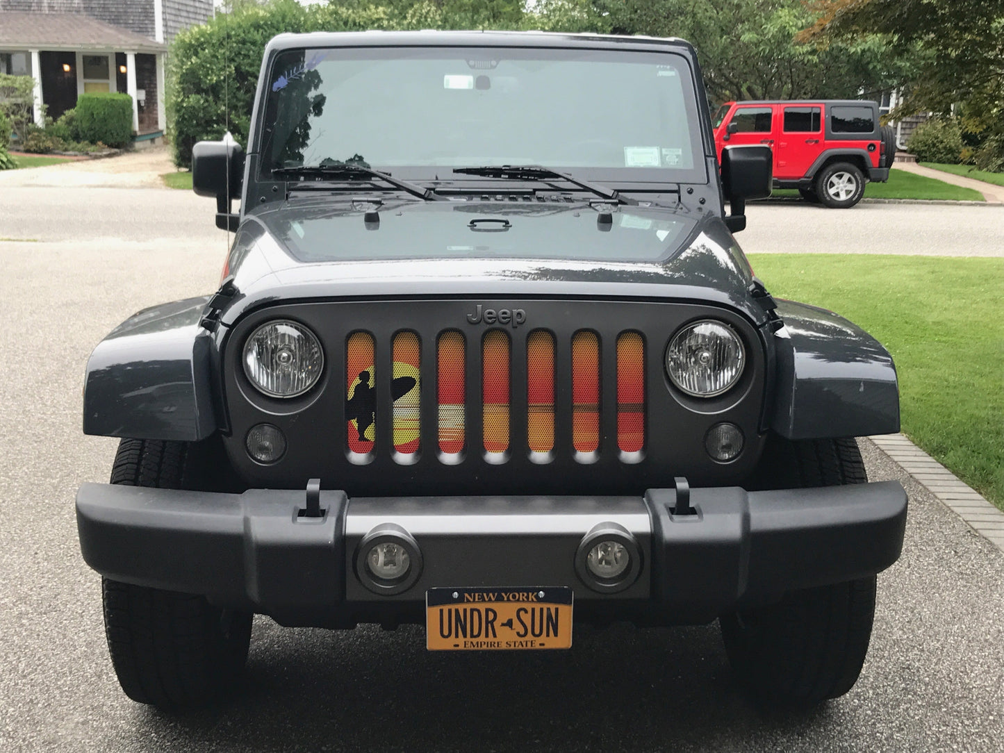 Endless Summer Collection - Surfer Girl Grille Inserts
