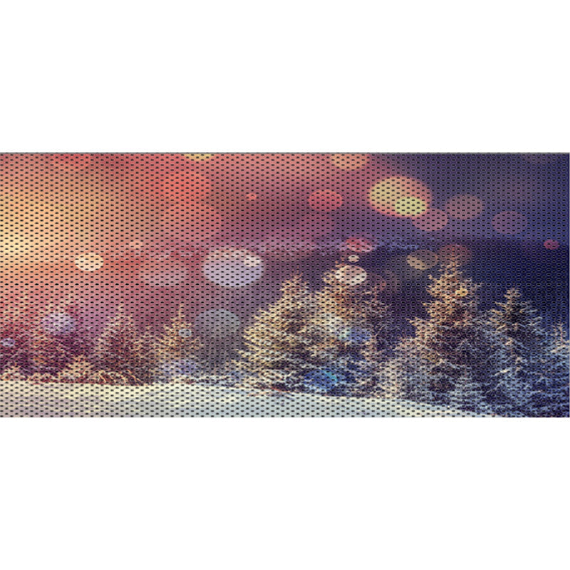 Snowy Field